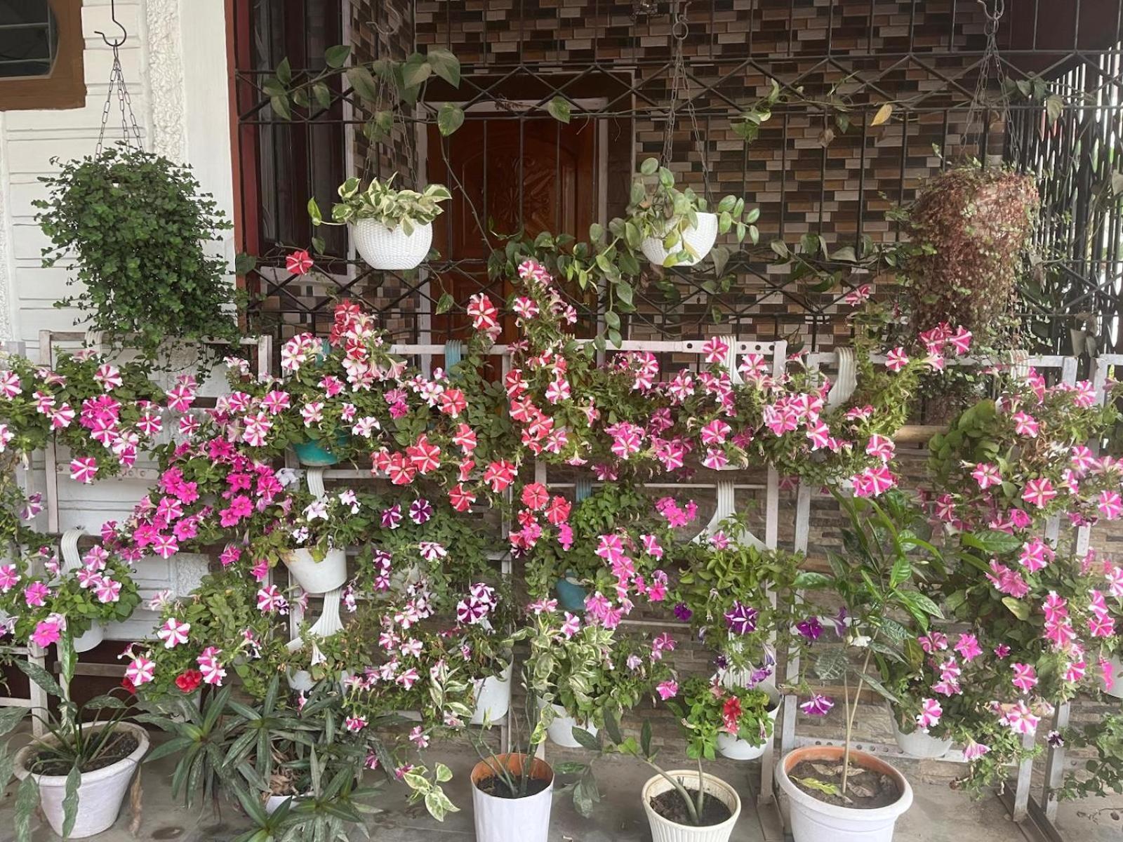 Amazing Homestay Ґувахаті Екстер'єр фото